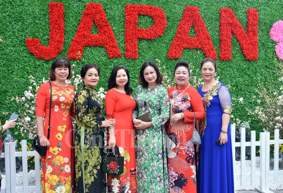 hap dan le hoi hoa anh dao nhat ban ha noi 2019