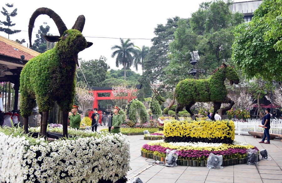 hap dan le hoi hoa anh dao nhat ban ha noi 2019