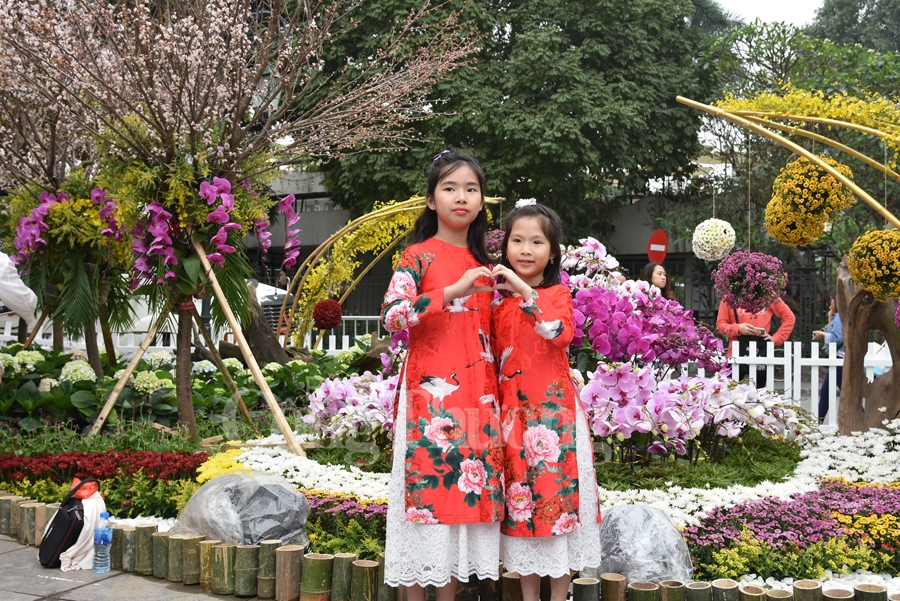 hap dan le hoi hoa anh dao nhat ban ha noi 2019