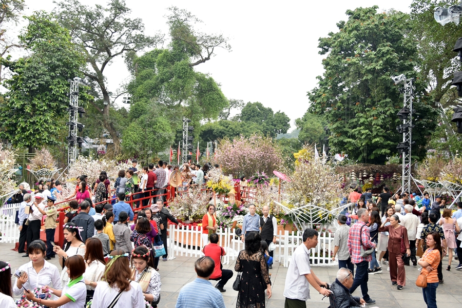hap dan le hoi hoa anh dao nhat ban ha noi 2019
