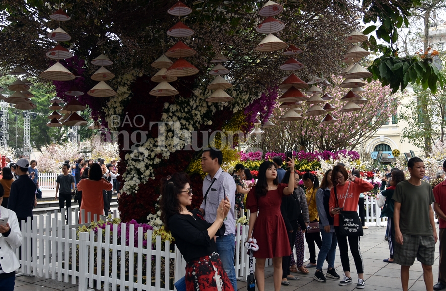 hap dan le hoi hoa anh dao nhat ban ha noi 2019