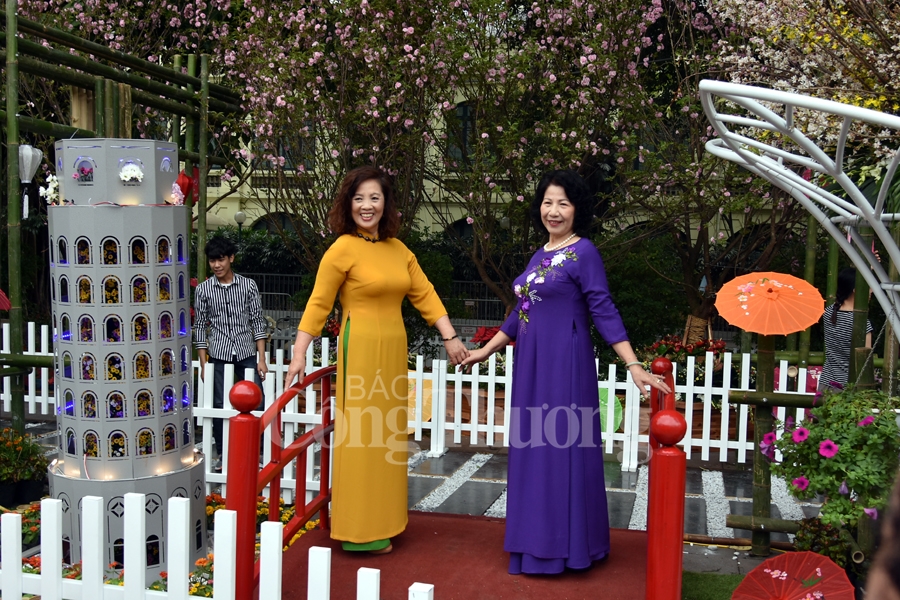 hap dan le hoi hoa anh dao nhat ban ha noi 2019