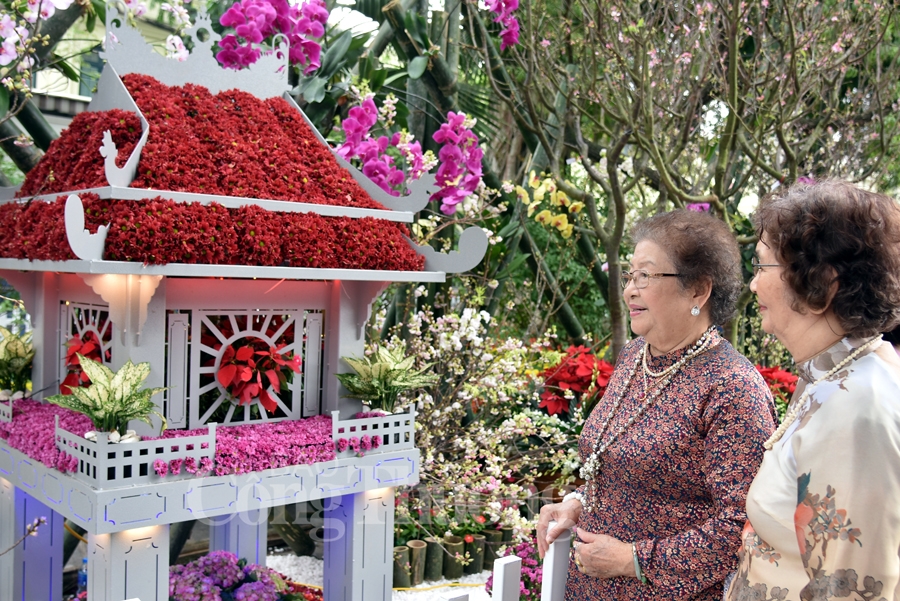 hap dan le hoi hoa anh dao nhat ban ha noi 2019