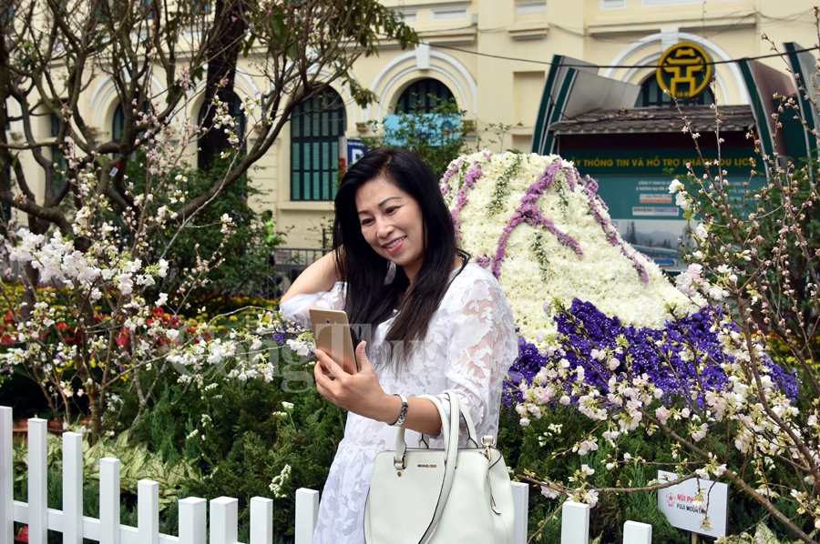 hap dan le hoi hoa anh dao nhat ban ha noi 2019