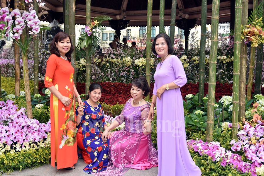 hap dan le hoi hoa anh dao nhat ban ha noi 2019