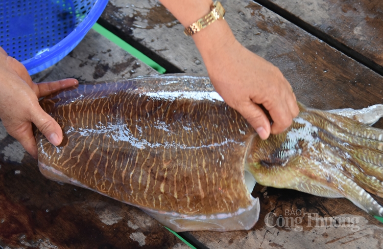 vinh vinh hy tuyet tac cua tao hoa 133469