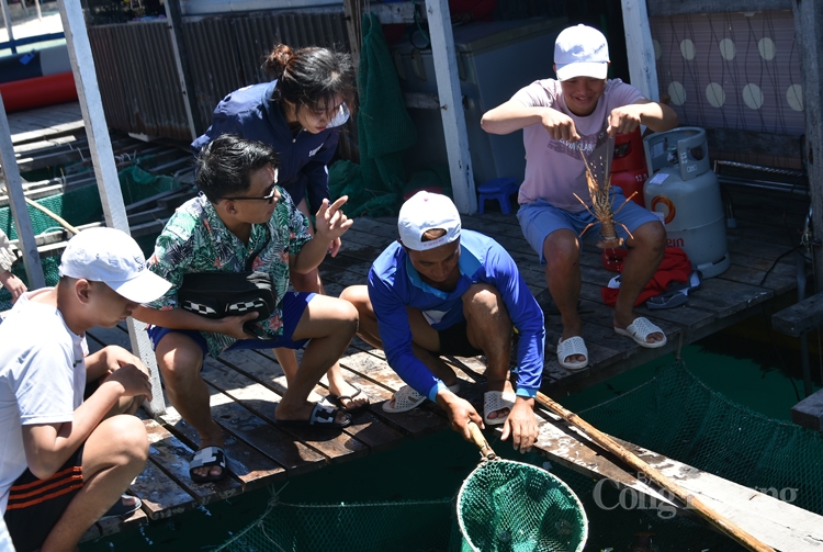 vinh vinh hy tuyet tac cua tao hoa 133469