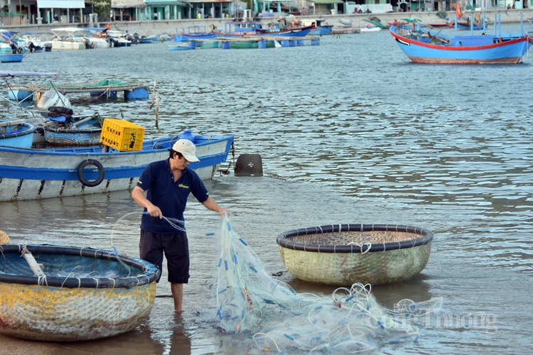 vinh vinh hy tuyet tac cua tao hoa 133469