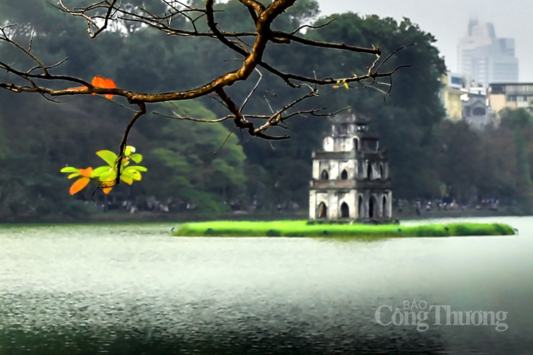 ha noi mua cay thay la