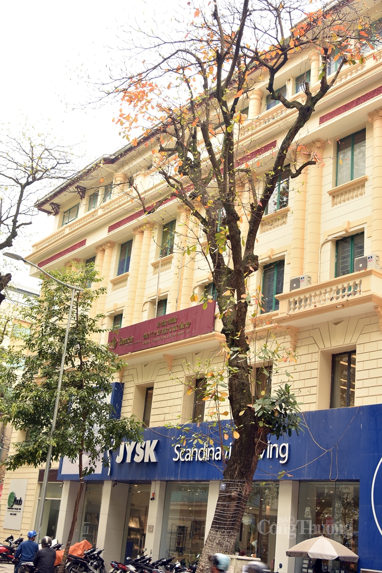 ha noi mua cay thay la