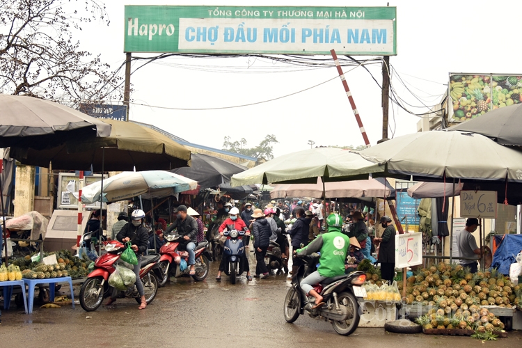 tram lang cho dau moi ha noi trong mua dich covid 19