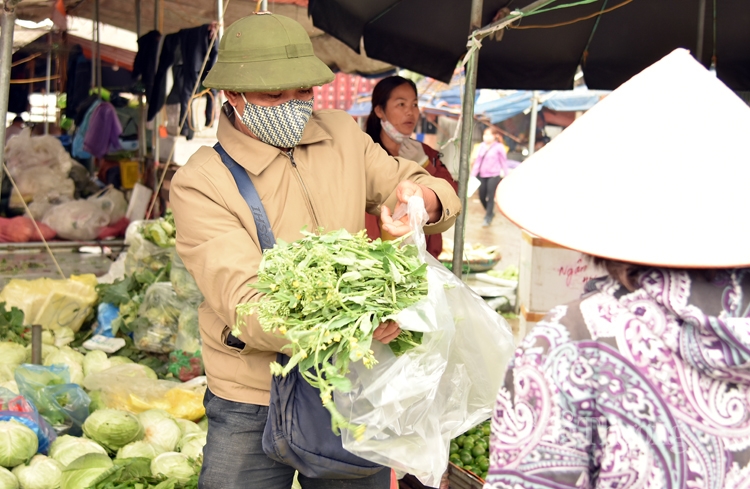 tram lang cho dau moi ha noi trong mua dich covid 19