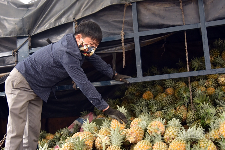 tram lang cho dau moi ha noi trong mua dich covid 19