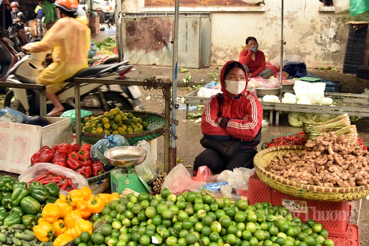 tram lang cho dau moi ha noi trong mua dich covid 19
