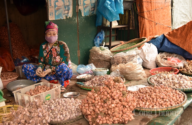 tram lang cho dau moi ha noi trong mua dich covid 19