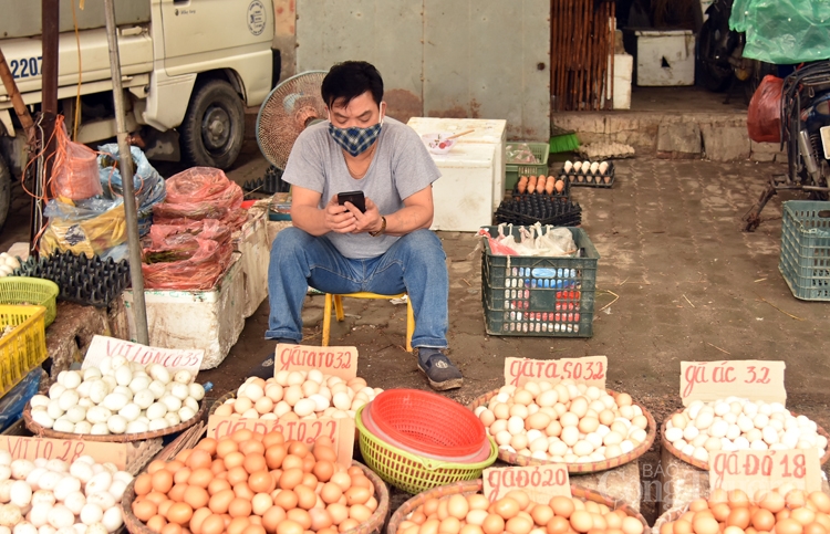tram lang cho dau moi ha noi trong mua dich covid 19