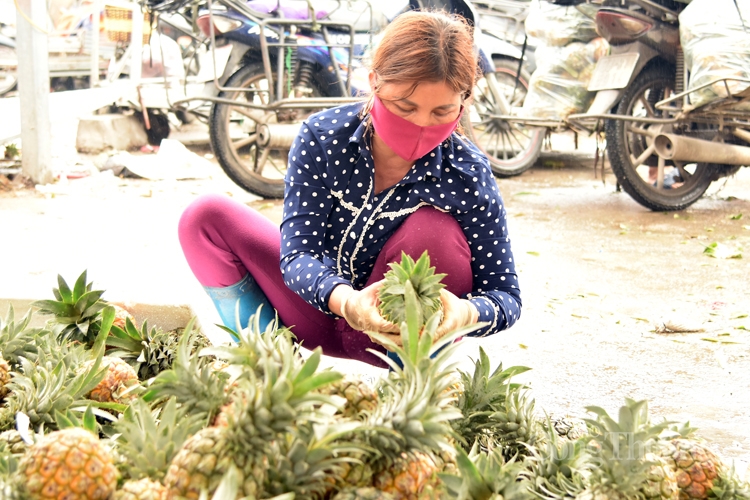 tram lang cho dau moi ha noi trong mua dich covid 19