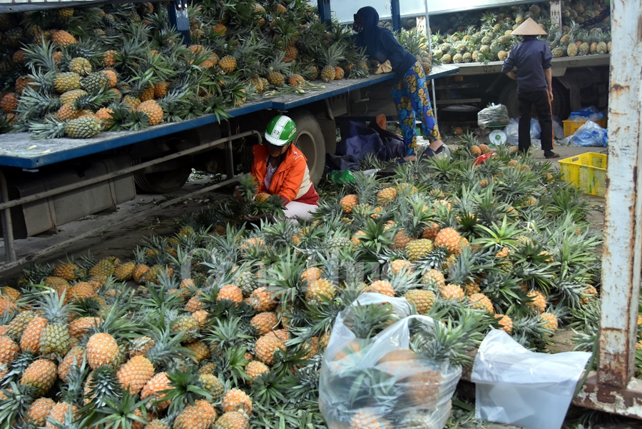 nhon nhip cho dau moi phia nam ha noi