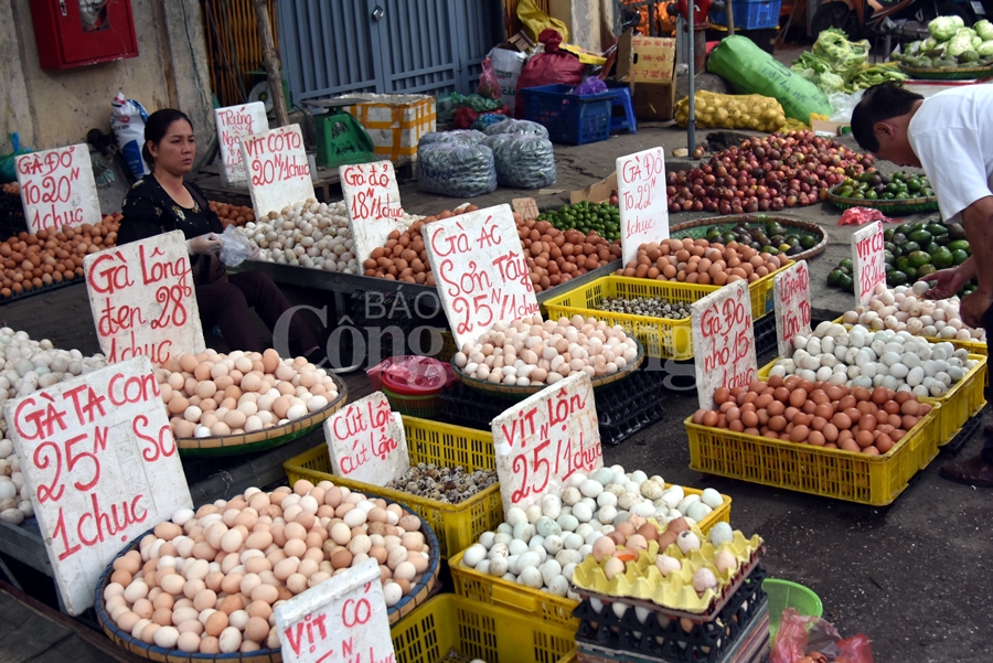 nhon nhip cho dau moi phia nam ha noi