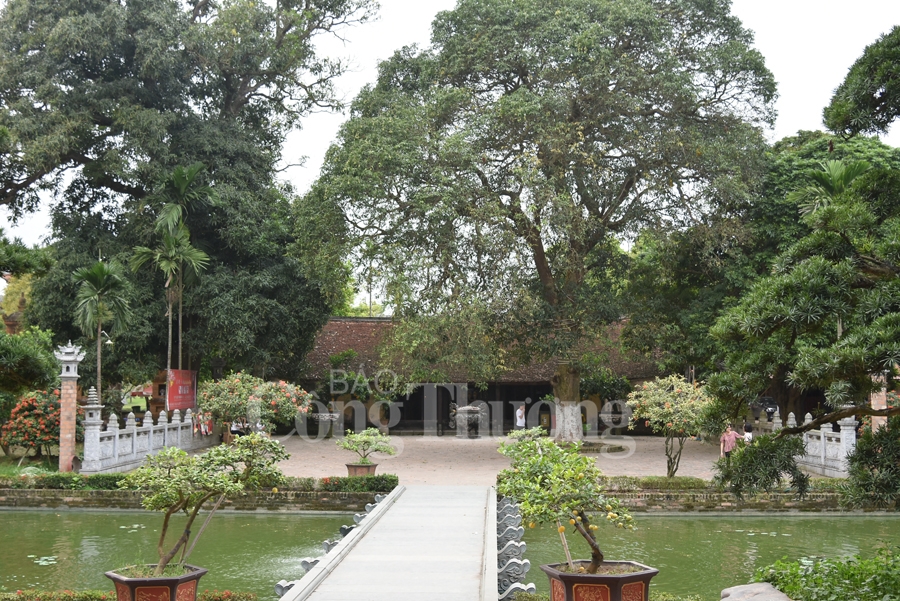 lang nom dam chat lang que bac bo