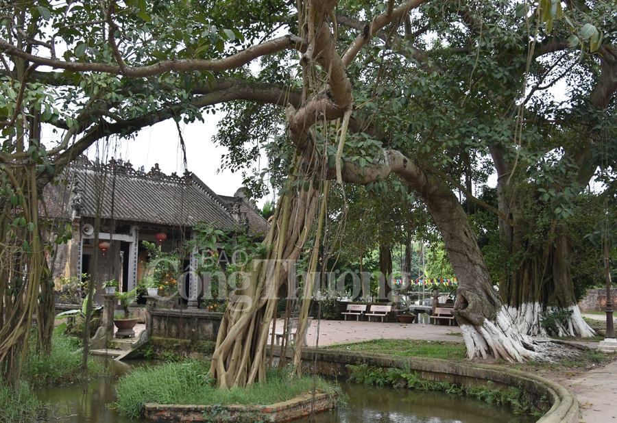 lang nom dam chat lang que bac bo