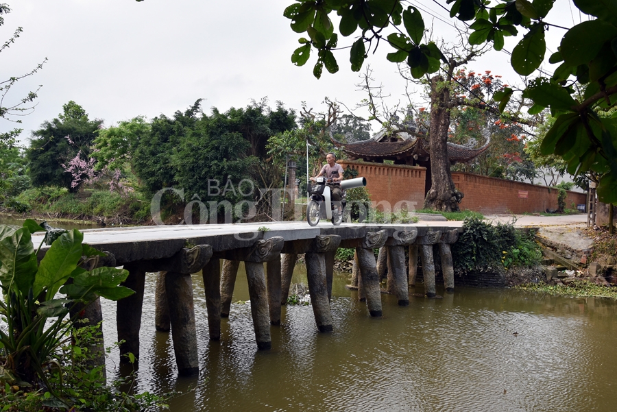 lang nom dam chat lang que bac bo