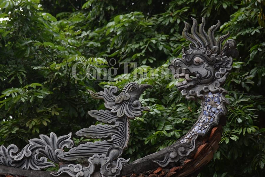 lang nom dam chat lang que bac bo