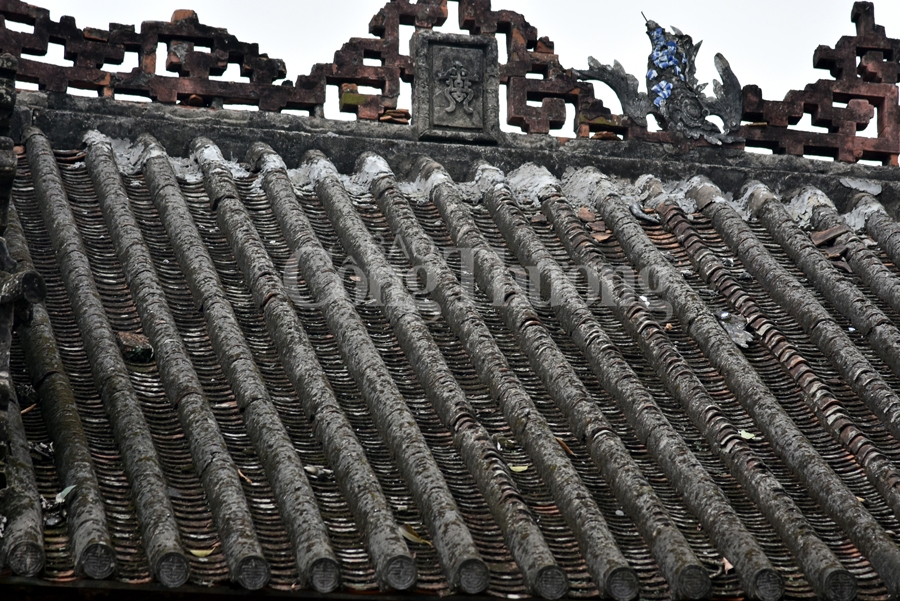 lang nom dam chat lang que bac bo