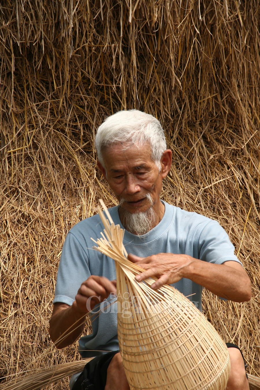 dan do thu sy van con do
