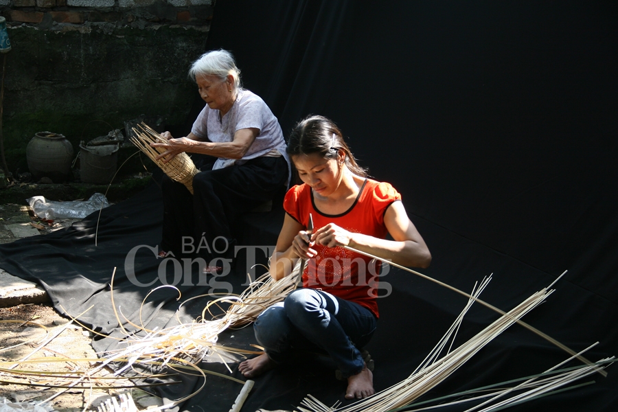 dan do thu sy van con do
