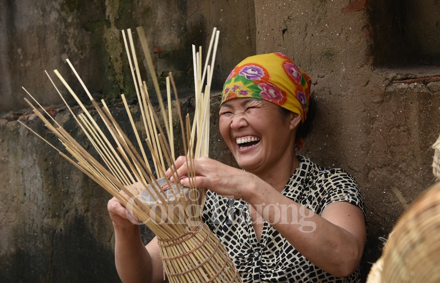 dan do thu sy van con do