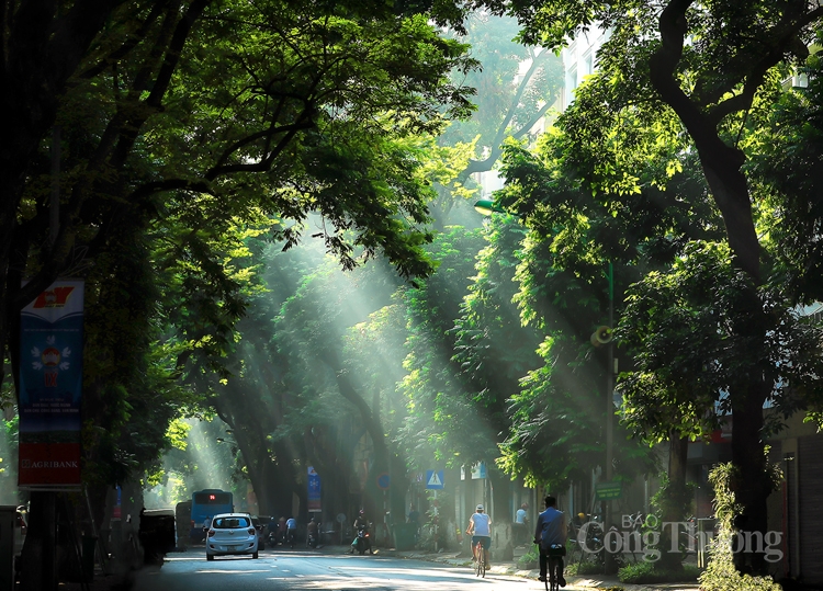 sac thai ha noi khuc giao mua