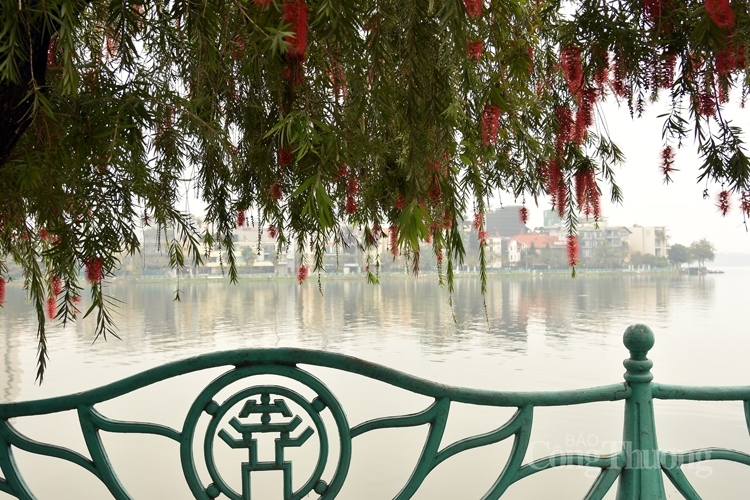 sac thai ha noi khuc giao mua