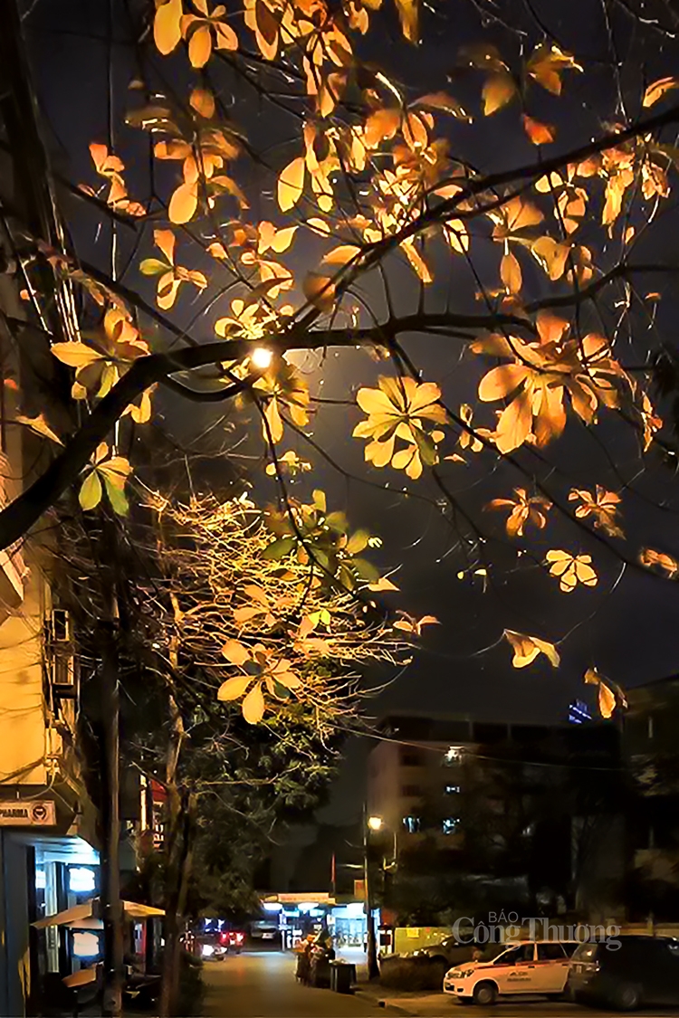 sac thai ha noi khuc giao mua