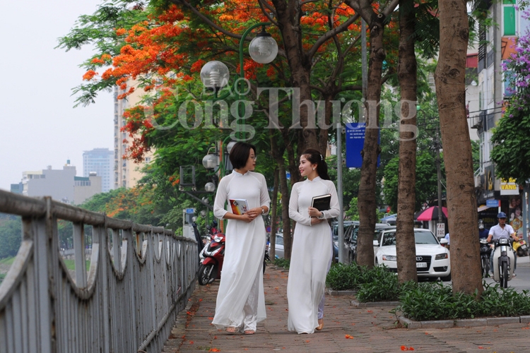 ruc ro sac hoa he ha noi