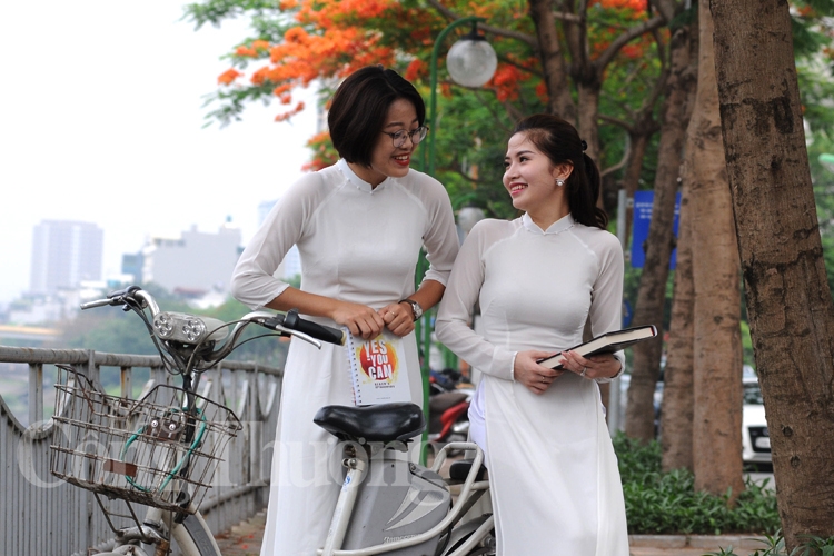 ruc ro sac hoa he ha noi