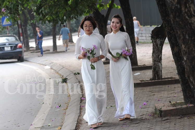 ruc ro sac hoa he ha noi