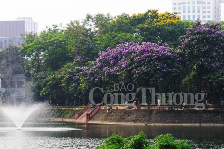 ruc ro sac hoa he ha noi