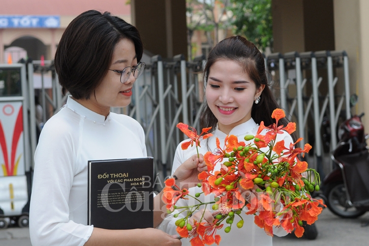 ruc ro sac hoa he ha noi