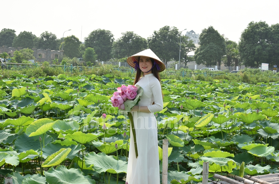 ngot ngao sac huong sen ho tay ha noi