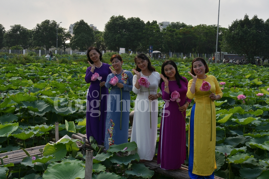 ngot ngao sac huong sen ho tay ha noi