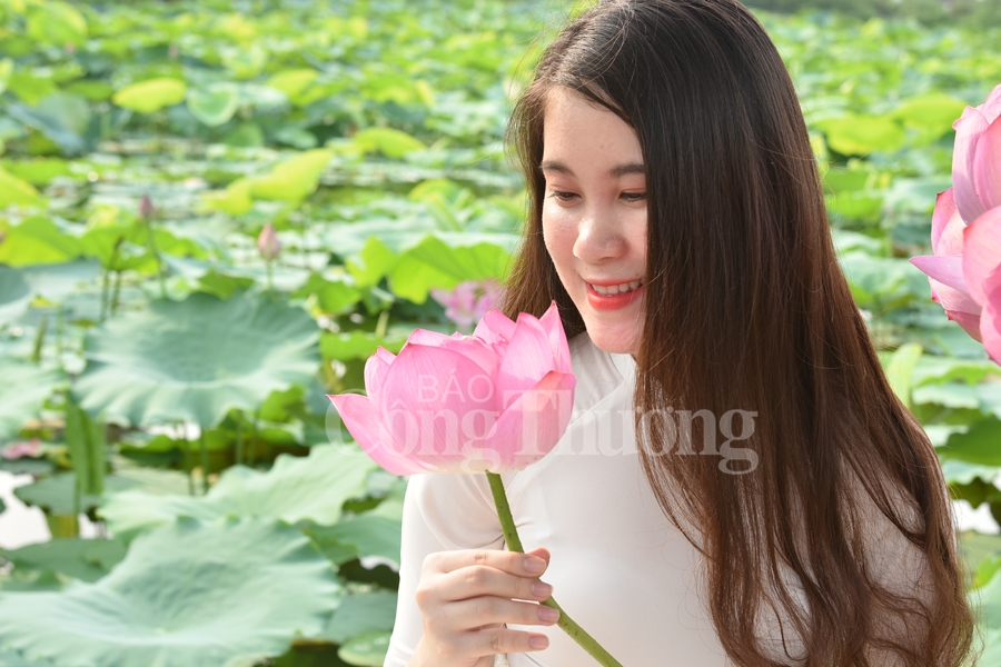 ngot ngao sac huong sen ho tay ha noi