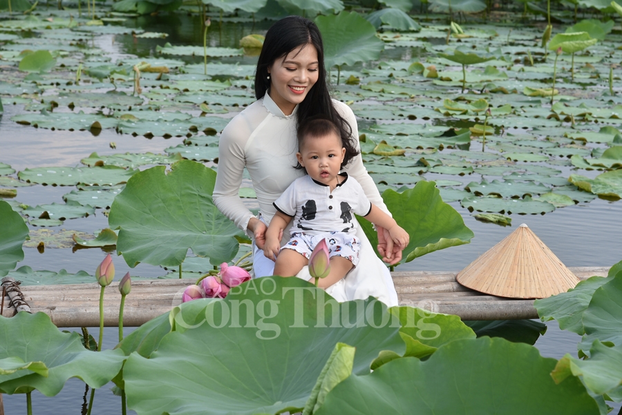 ngot ngao sac huong sen ho tay ha noi