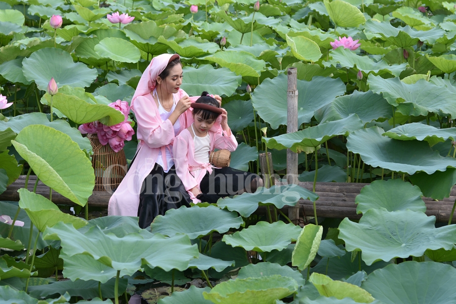 ngot ngao sac huong sen ho tay ha noi