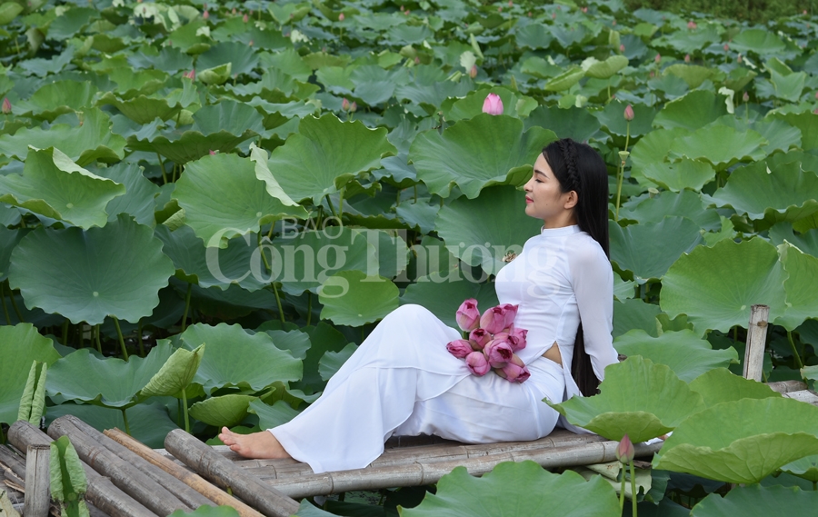 ngot ngao sac huong sen ho tay ha noi