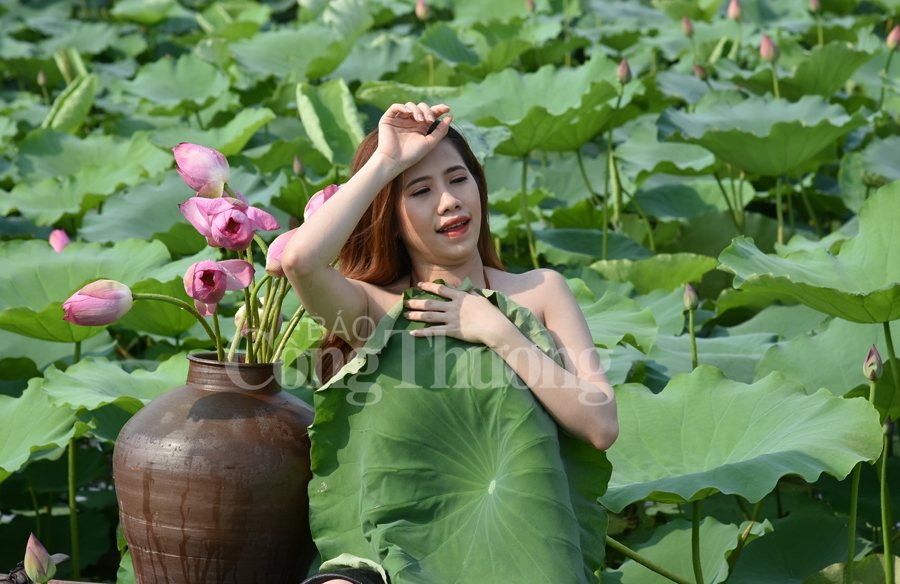 ngot ngao sac huong sen ho tay ha noi
