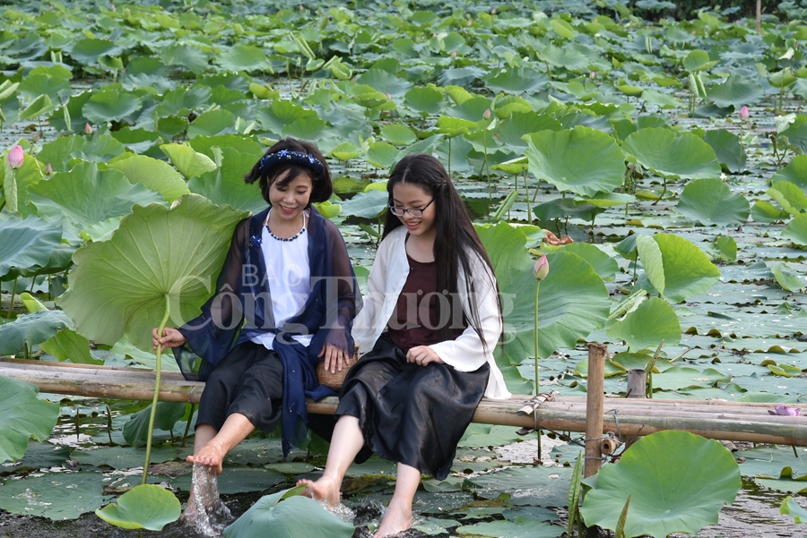 ngot ngao sac huong sen ho tay ha noi