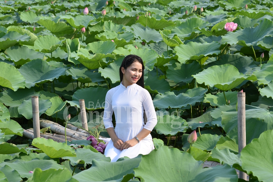 ngot ngao sac huong sen ho tay ha noi