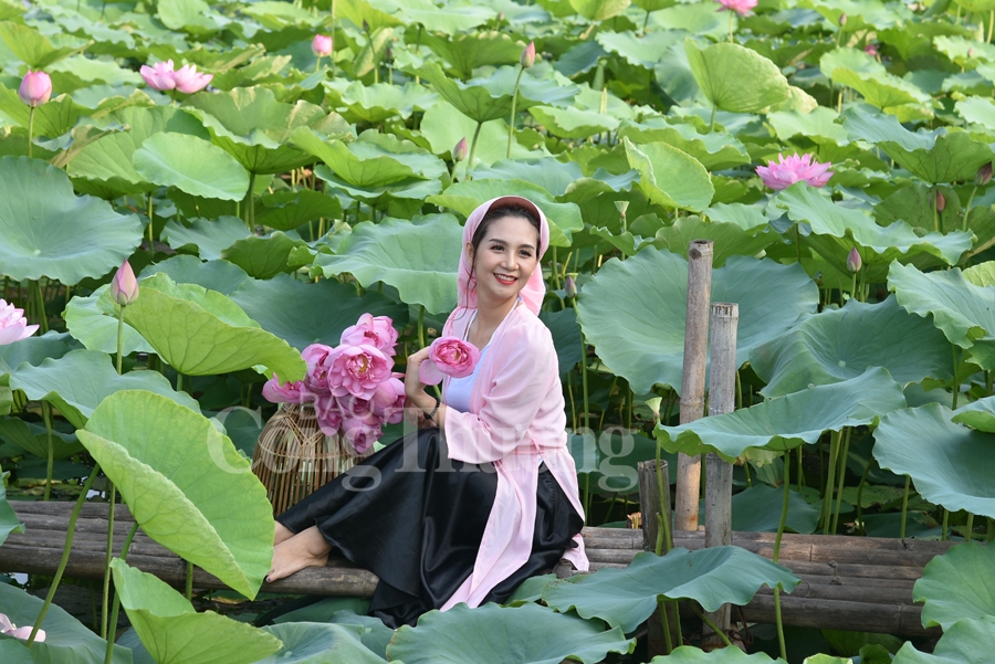 ngot ngao sac huong sen ho tay ha noi