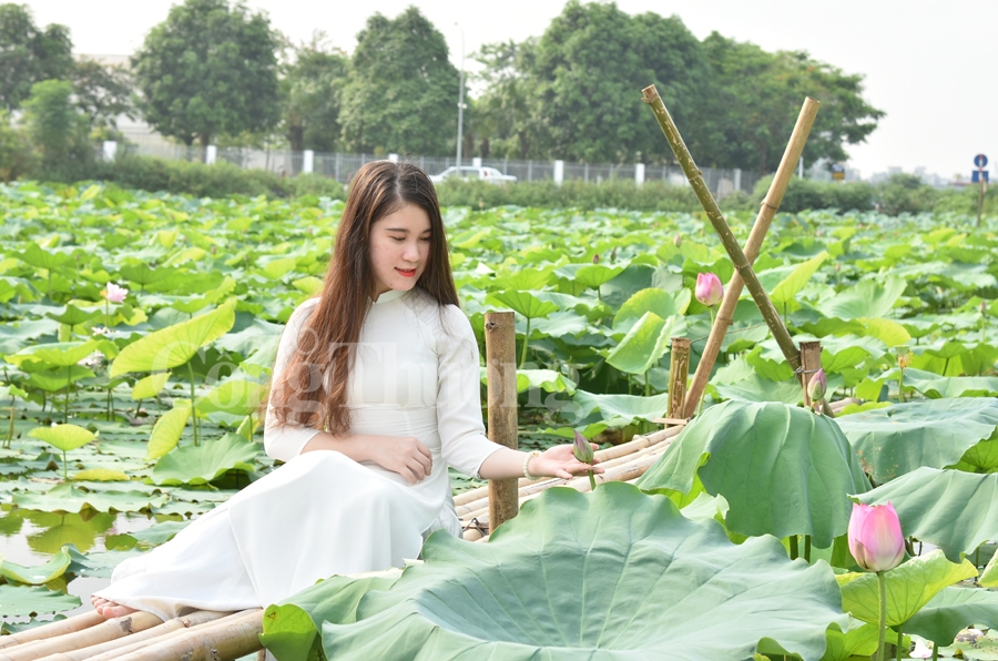 ngot ngao sac huong sen ho tay ha noi